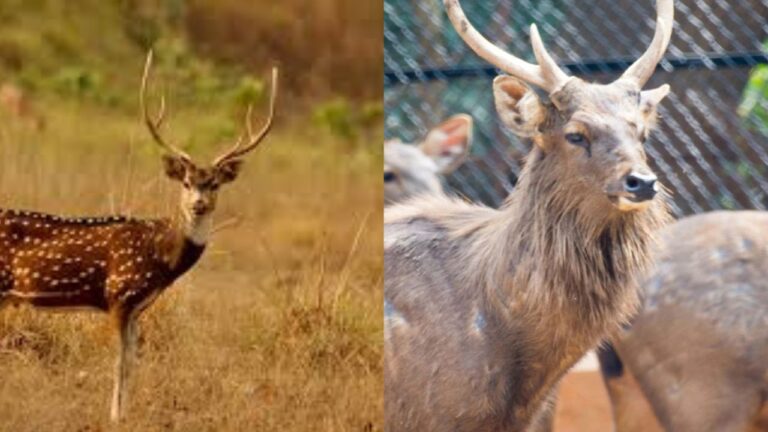 Untitled design (62)