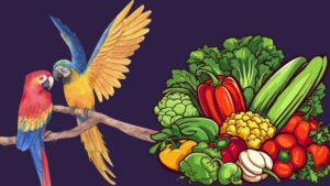 Why are green vegetables important in the diet of birds?