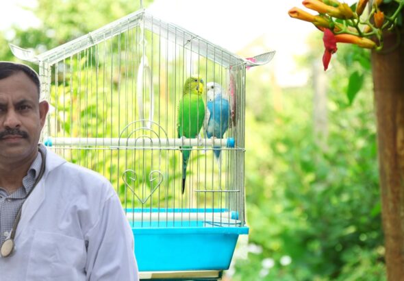 Bird Cage cleaning tips
