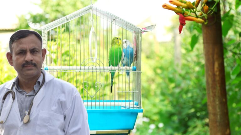 Bird Cage cleaning tips
