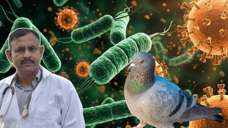 Pigeon Paramyxovirus