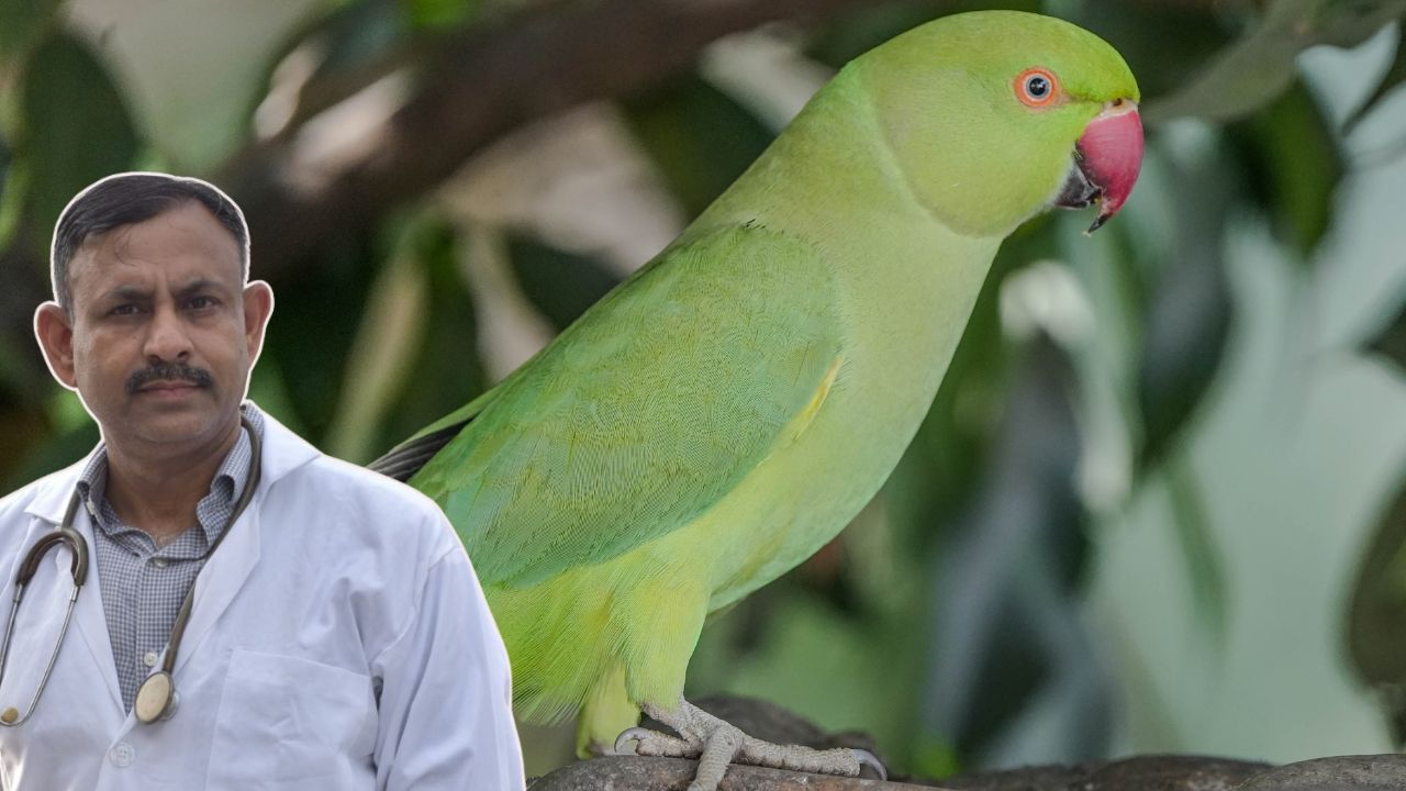 best diet for parrots