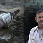 how to prevent dehydration in pigeons