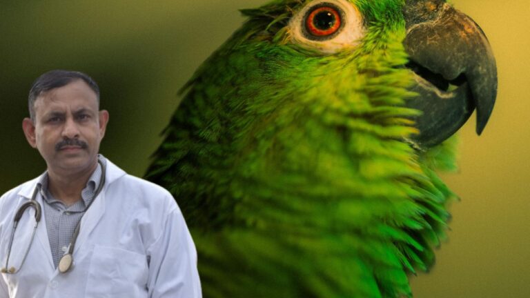 How to Boost Immunity of Pet Birds Naturally