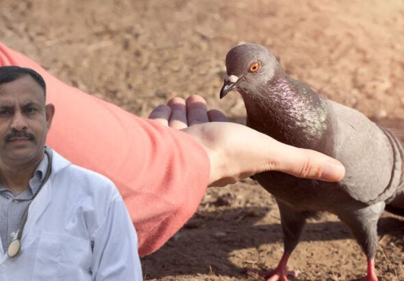 bird emotional bond with humans