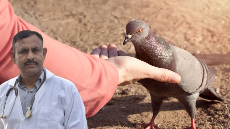 bird emotional bond with humans