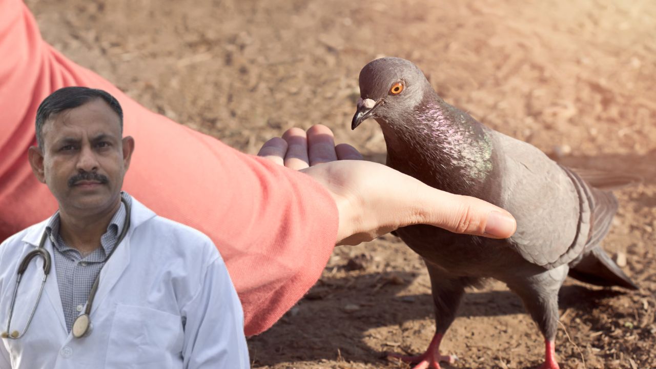 bird emotional bond with humans