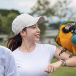 can birds recognize their owners (1)