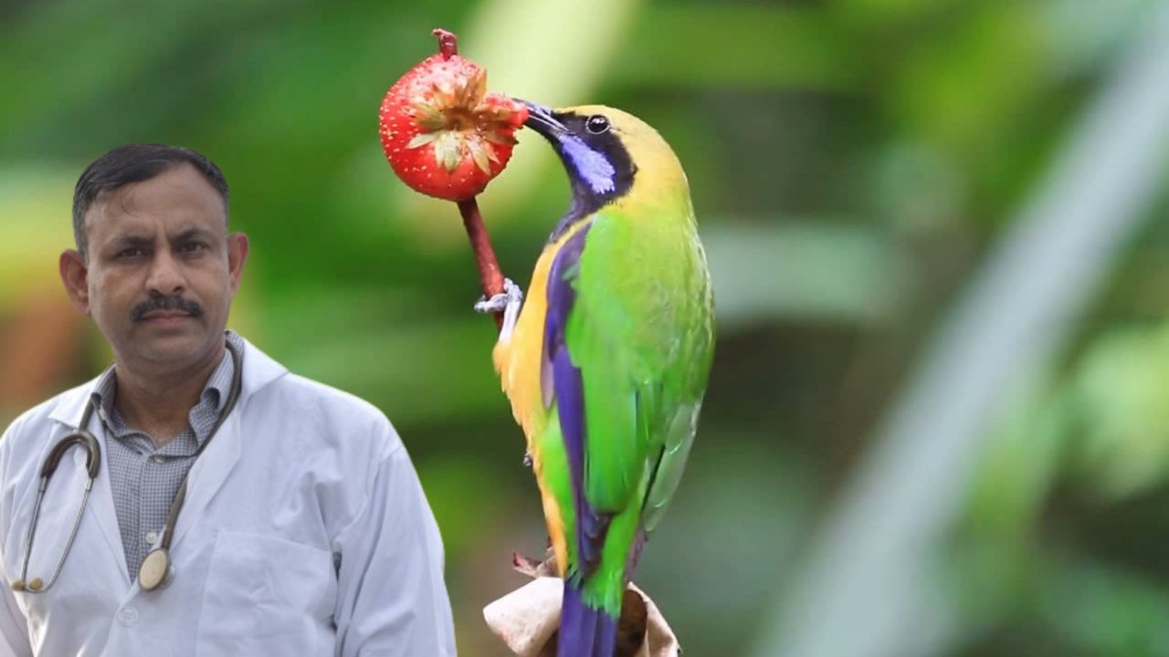 why is my bird not eating