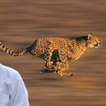 Fastest Running Wild Animals in the World
