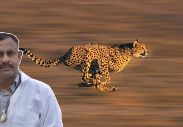 Fastest Running Wild Animals in the World