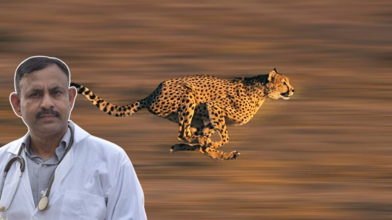 Fastest Running Wild Animals in the World
