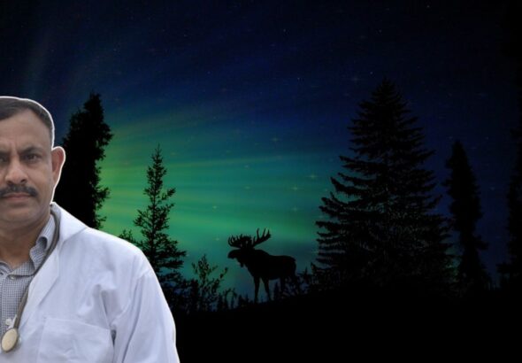 Which animals hunt at night?