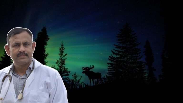 Which animals hunt at night?