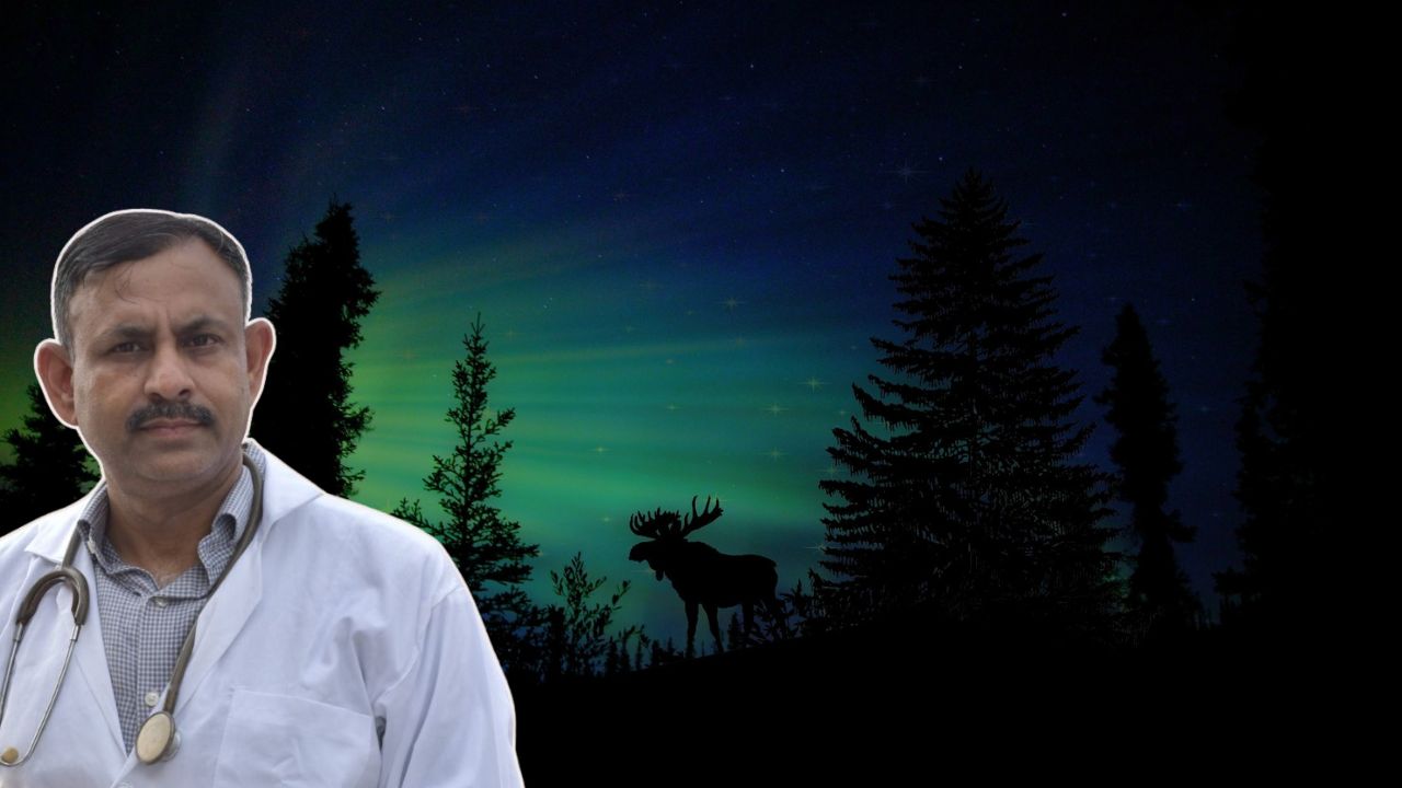 Which animals hunt at night?