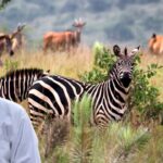 World Most Fearful Animal