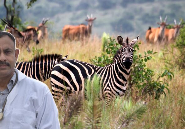 World Most Fearful Animal