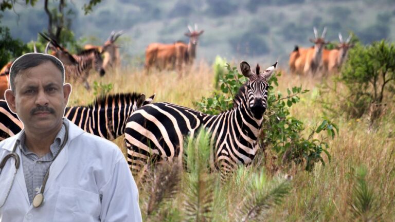 World Most Fearful Animal