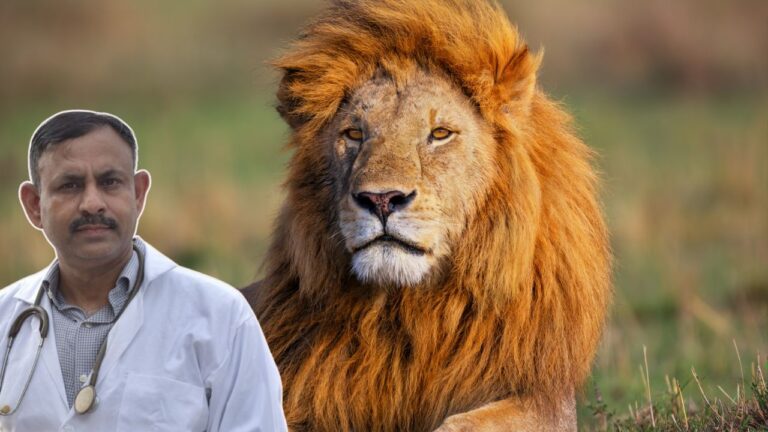 lion attack on humans