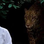wild animals at night