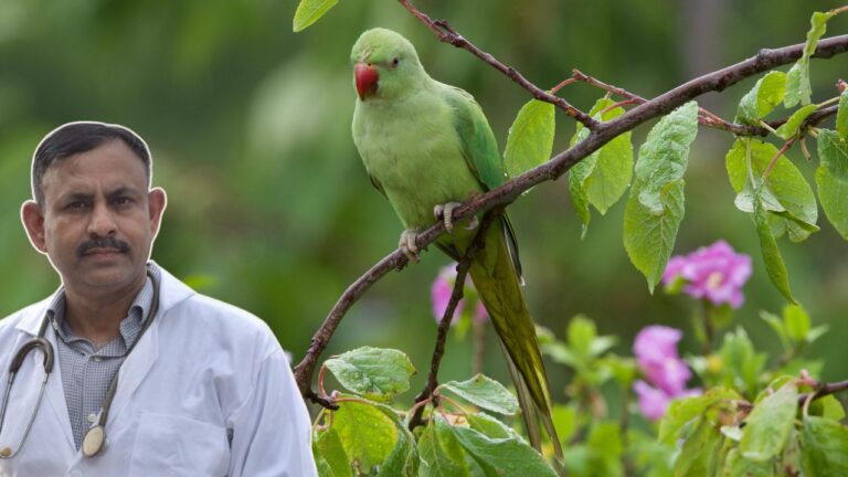Best Fruits and Vegetables for Parrots
