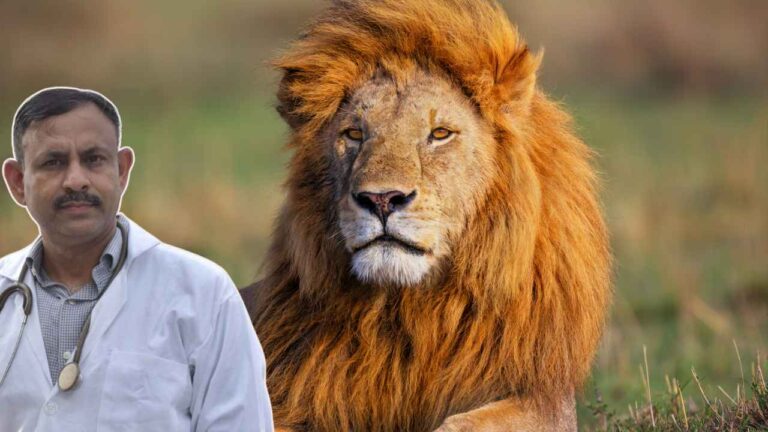 Lion Care