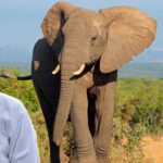 Elephant Fact