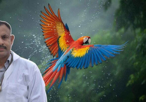 Macaw health care