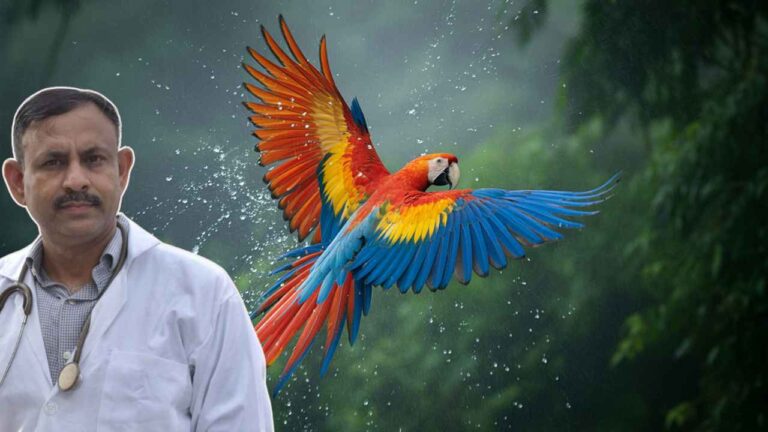 Macaw health care