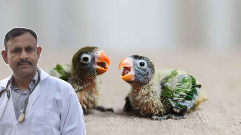 Parrot Baby Care
