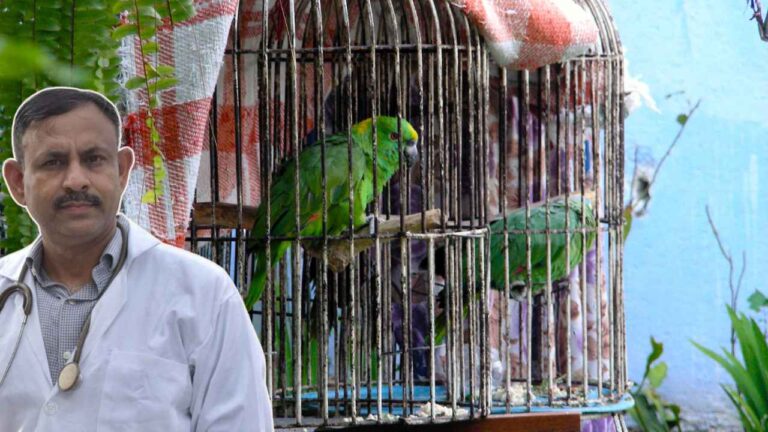 Parrot CARE