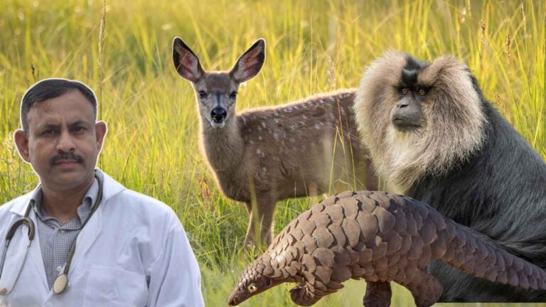 Rare Wild Animals