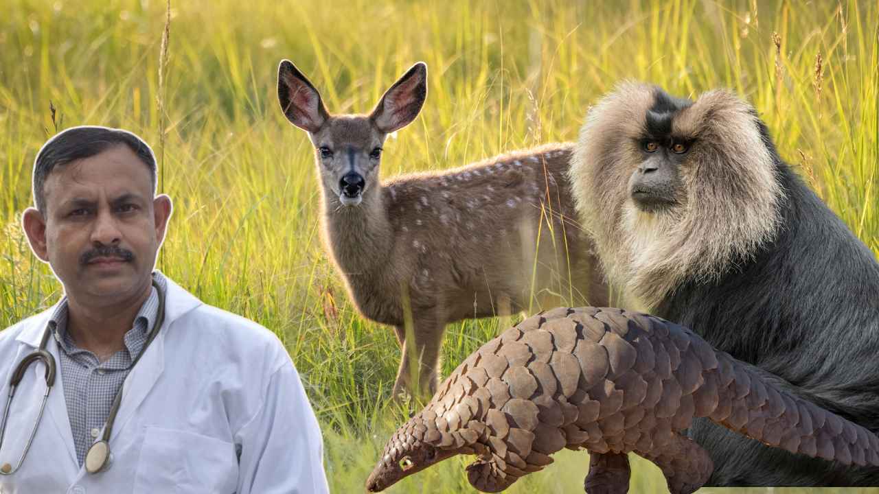 Rare Wild Animals
