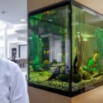 Aquarium Safety
