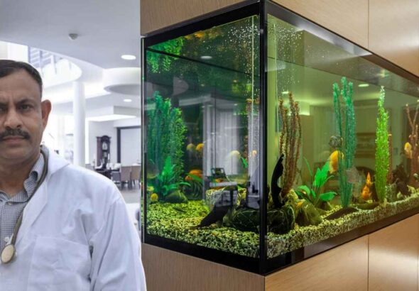 Aquarium Safety