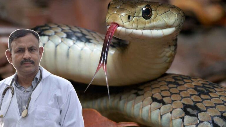 Most Venomous Snake: