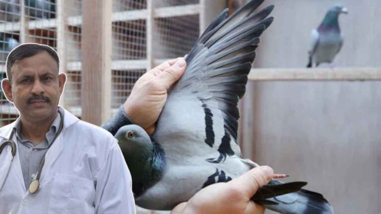 What is the most expensive bird in the world?
