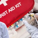 bird first aid
