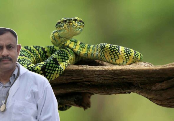 Snake Facts: