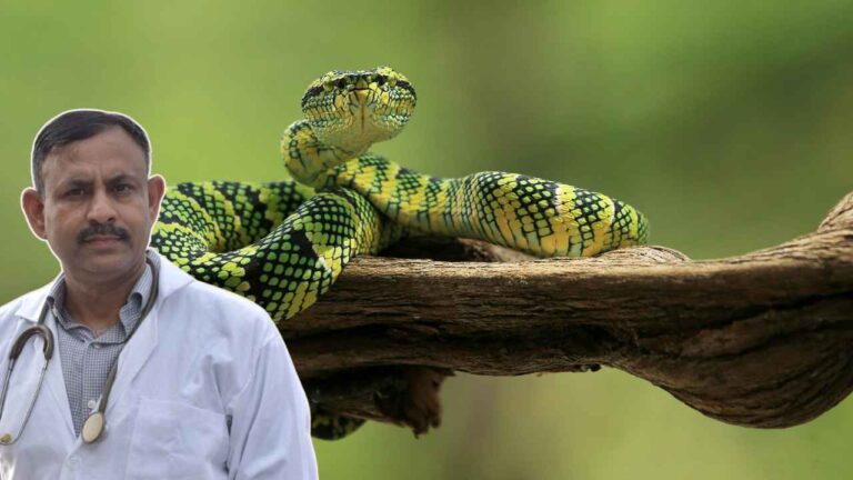 Snake Facts: