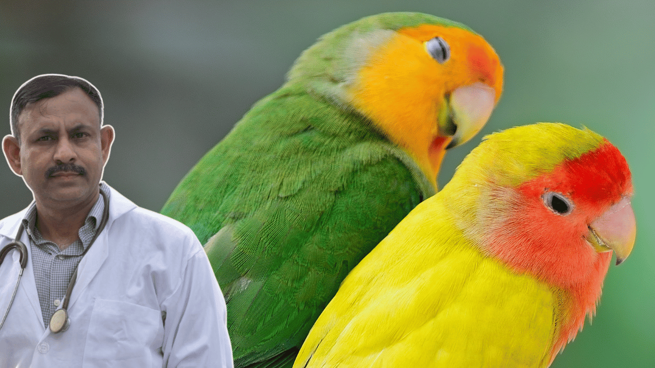 Lovebird Health Care